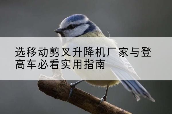 平桥电动升降机厂家-选移动剪叉升降机厂家与登高车必看实用指南