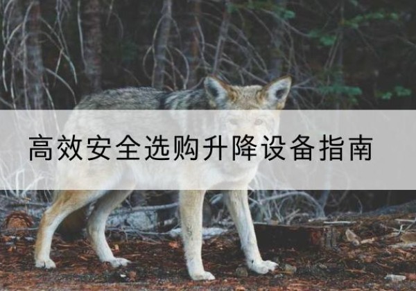 平桥升降货梯厂家推荐-*安全选购升降设备指南